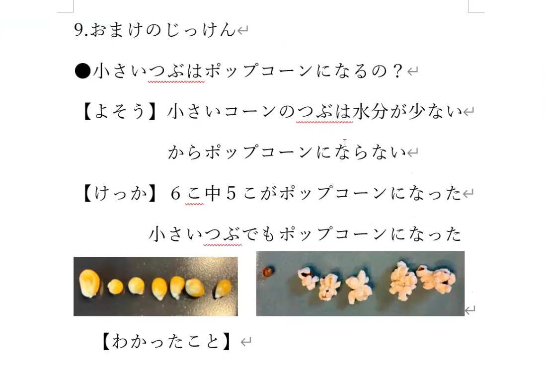 ポップコーンの研究資料。小さいつぶはポップコーンになるのか、予想と結果、粒の写真